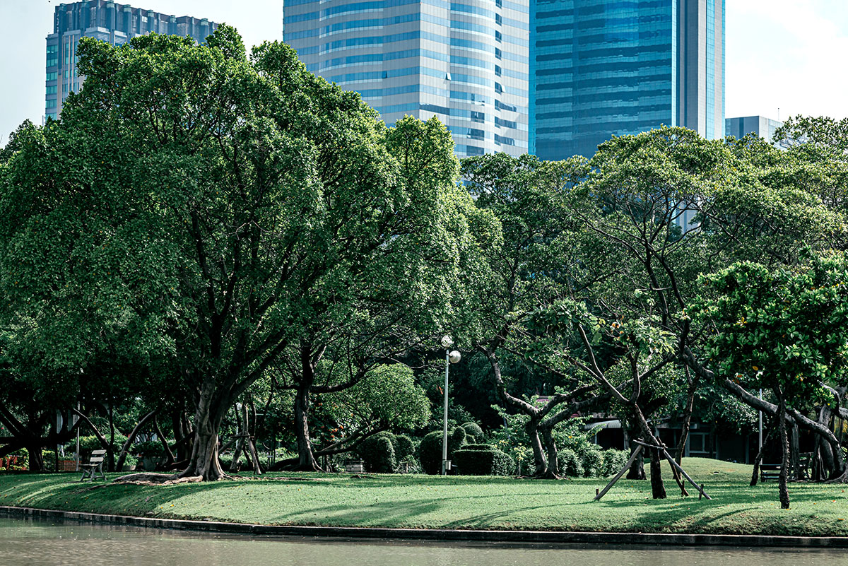 แนะนำ 5 สวนสาธารณะสวย ๆ ในกรุงเทพ